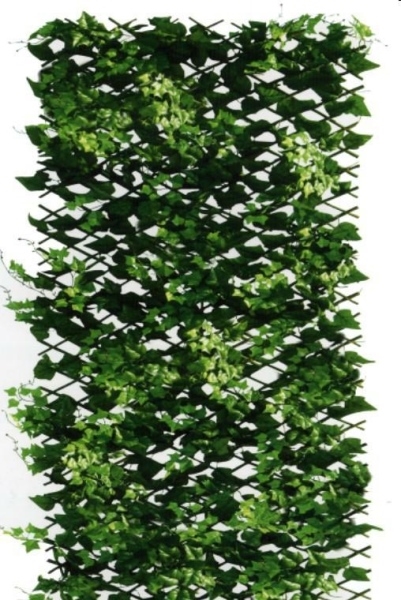 ARELLA SIEPE SEMPREVERDE TRALICCIO 1X2 MT