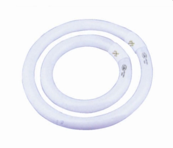 NEON CIRCOLARE 22 W