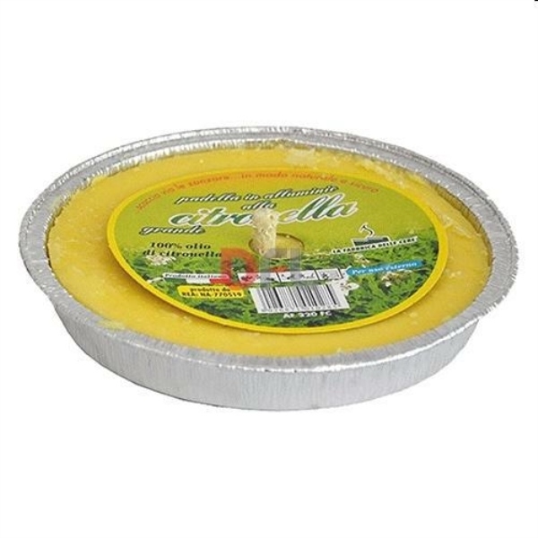 CITRONELLA IN VASO STAGNOLA CM.11