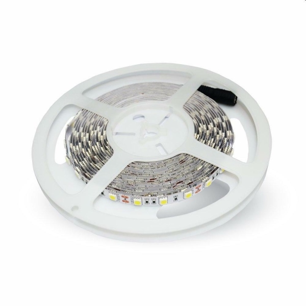 STRIP LED 24V SMD5050 60 LED 9W WHITE 5MT IP20 STRISCIA LED