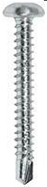 VITE AUTOPERFORANTE ZINCATA TESTA CILINDRICA 35X13mm.