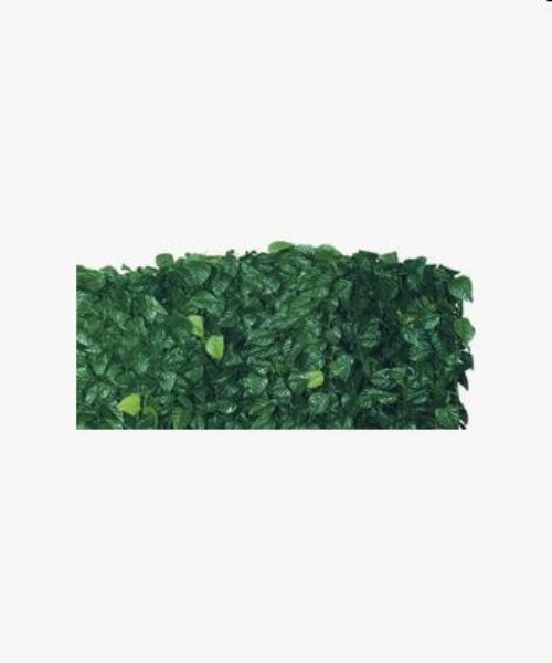 SIEPE SEMPREVERDE LAURO+RETE 100X300