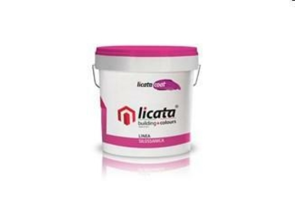SILSAN PAINT BIANCO KG.20 (pittura acril-silossanica antialga)