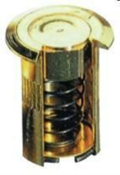 POZZETTO OTTONE C\MOLLA MM.8