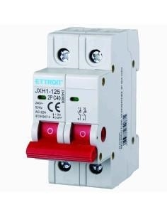 INTERRUTTORE SEZIONATORE 2P 25A 220V